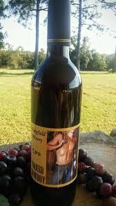 Wakefield Winery - Naked Cowboy Malbec Blackberry (750ml) (750ml)