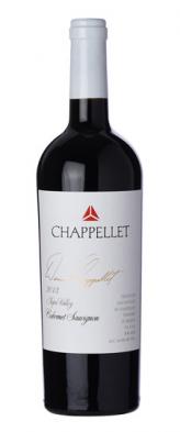 2019 Chappellet - Cabernet Sauvignon Napa Valley Signature (750ml) (750ml)