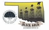 2016 Renaissance Black Gold Stout 6/4/ Cn (415)